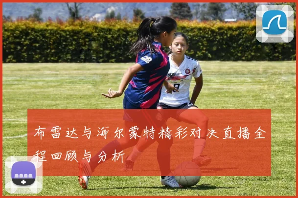 布雷达与海尔蒙特精彩对决直播全程回顾与分析